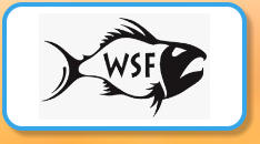 World Sea Fishing Forums